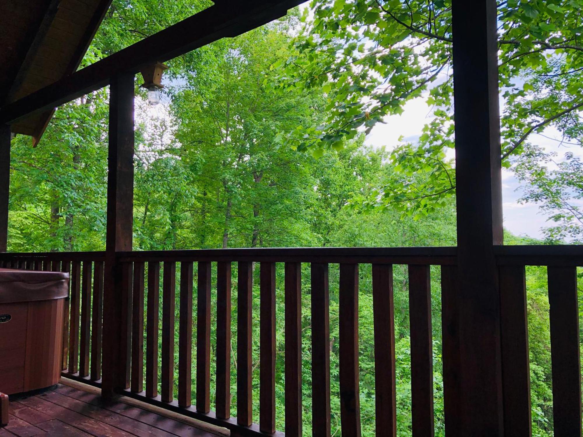 Black Bear Cove Гетлинбург Екстериор снимка