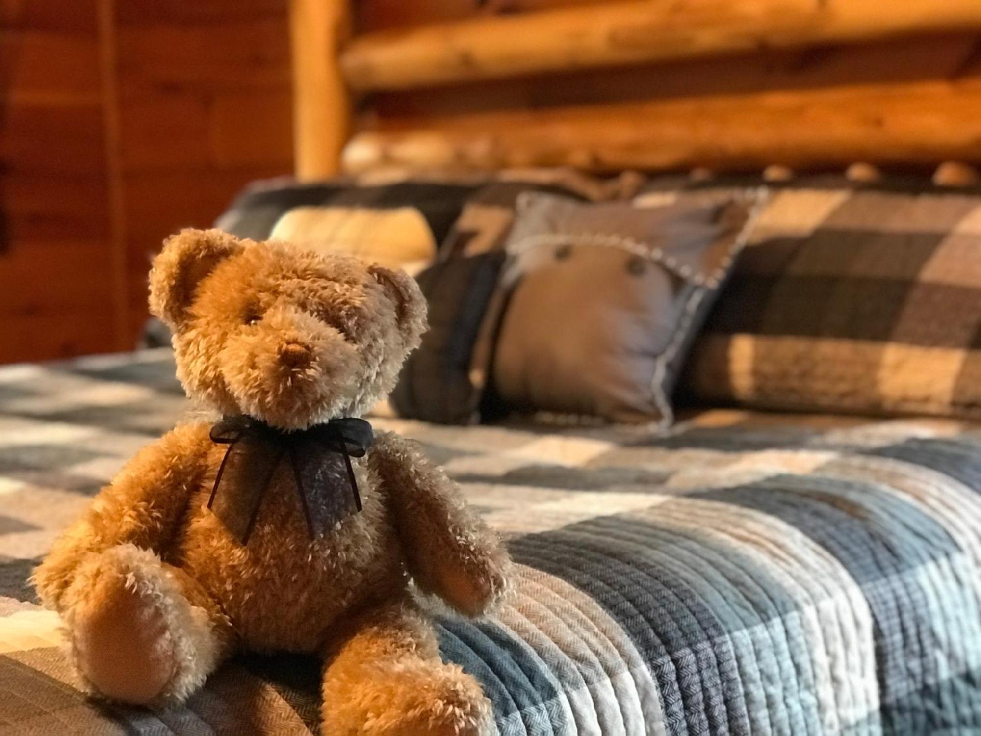 Black Bear Cove Гетлинбург Екстериор снимка