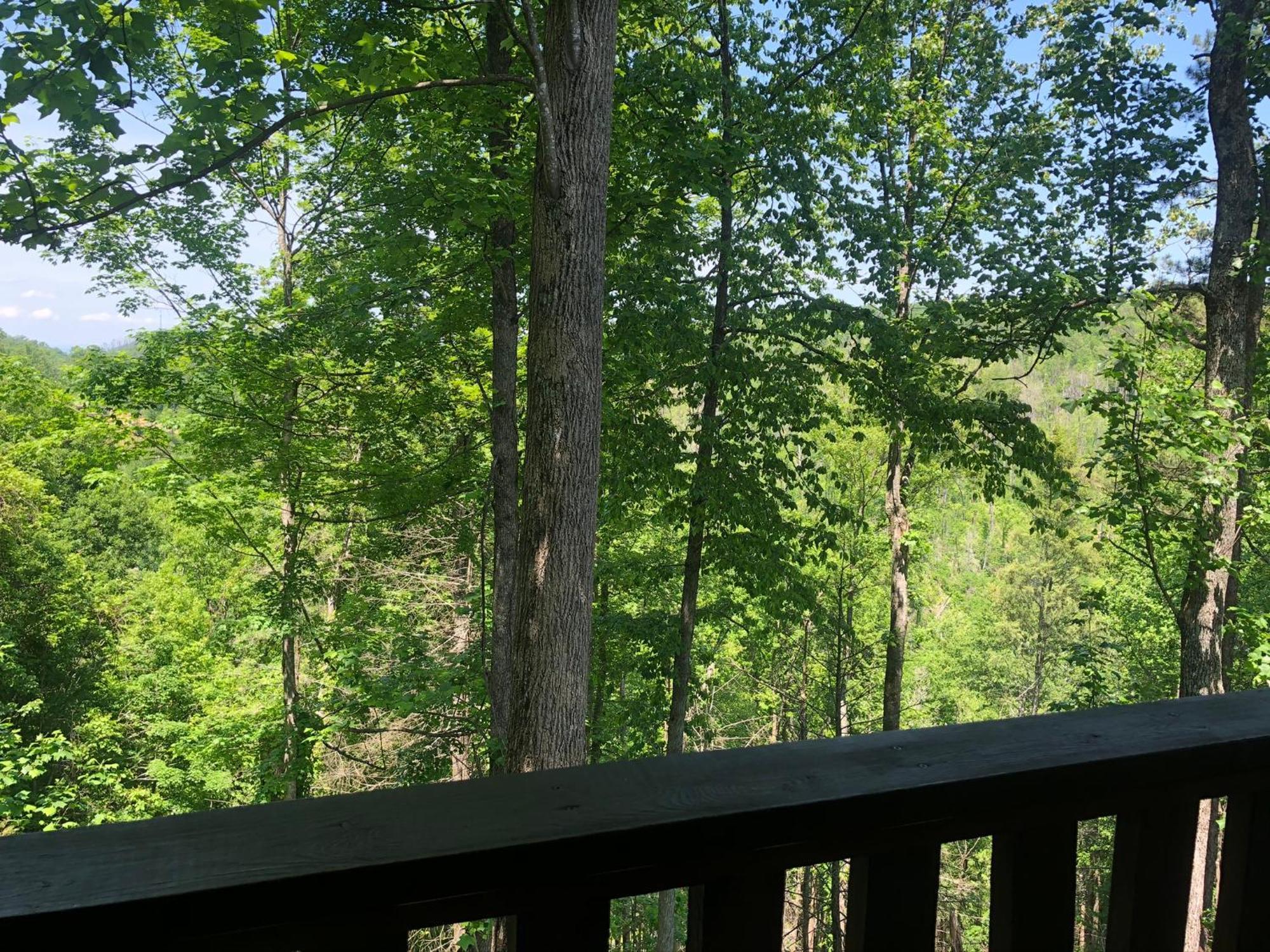 Black Bear Cove Гетлинбург Екстериор снимка